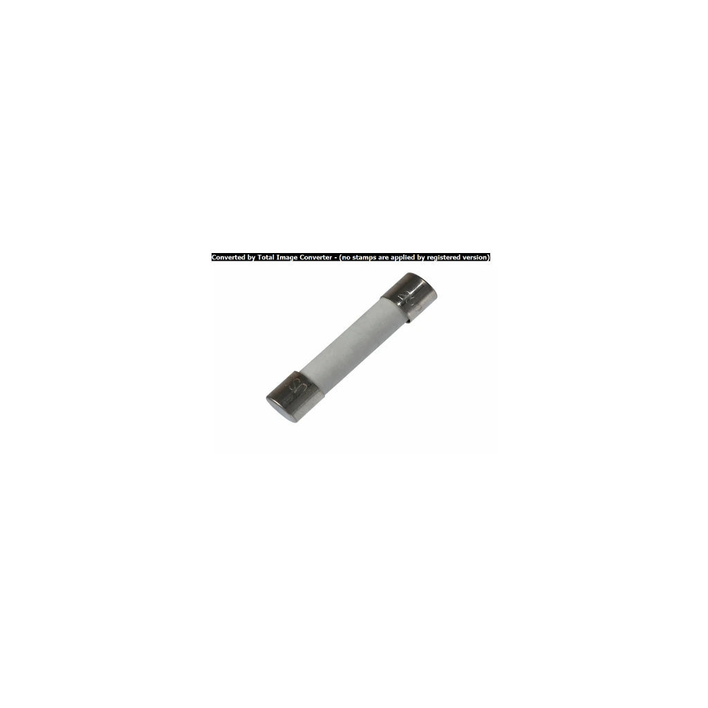 [FU6219] FUSIBLE GRANDE 10AMP